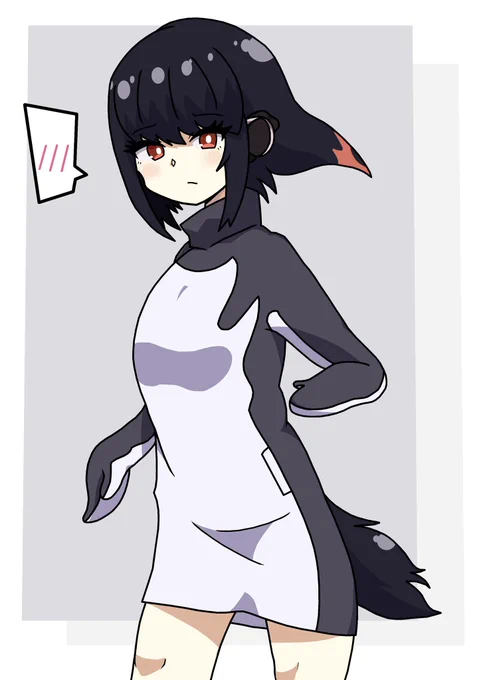 アデリーペンギン 