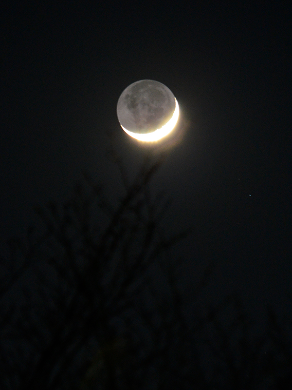 hoshihakase's tweet photo. 土曜の夜。細い月が、ゆっくり沈んで行きました。これからは、星たちの時間です。
明日も共通試験の受験生のみなさんも、私と同じようにお仕事だったみなさんも、そして、休日を過ごしたみなさんも、今夜は窓を開けて、星をご覧になって一息つきませんか？ https://t.co/o5DqOQDOOX