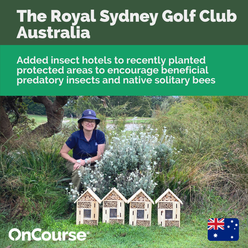 Wendy Lloyd at The Royal Sydney Golf Club sent in this highlight with these brilliant bug hotels.⁣⁣
⁣⁣
Insects play a vital role in sustaining ecosystems and pollinating plants, helping to decompose dead material as well as being a food source for birds.

#ForSustainableGolf