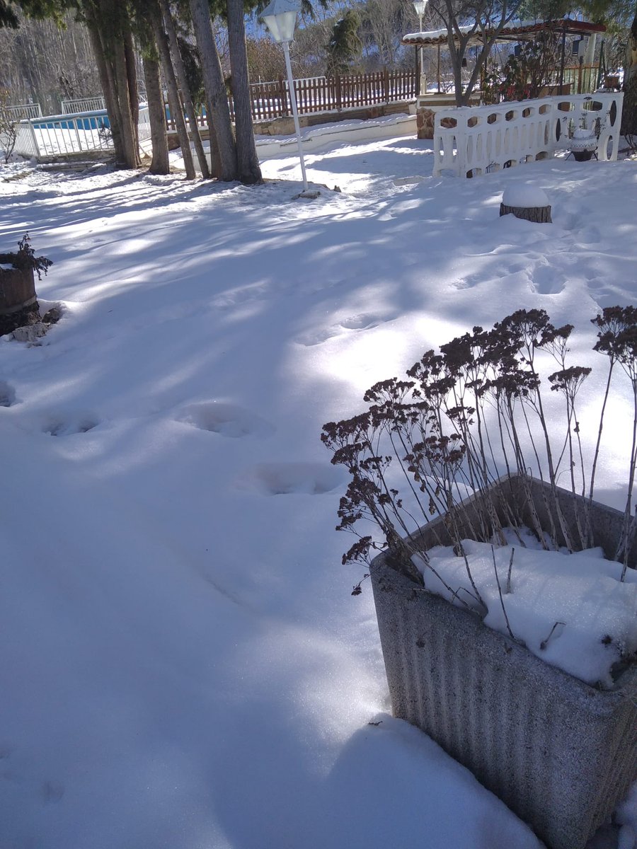 #Montalbán #Teruel Casa el Plano