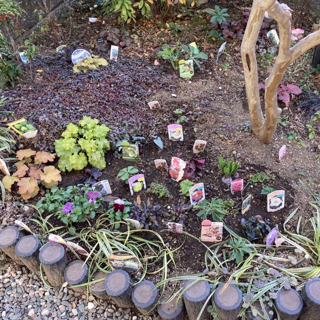 ぴぴね 植物ラベルカッコ悪い問題を解決 自作しようと思って黒いプラ板買ったけど 面倒くさくなったので黒ラベル買いました ビフォーアフター 猫の額ガーデン