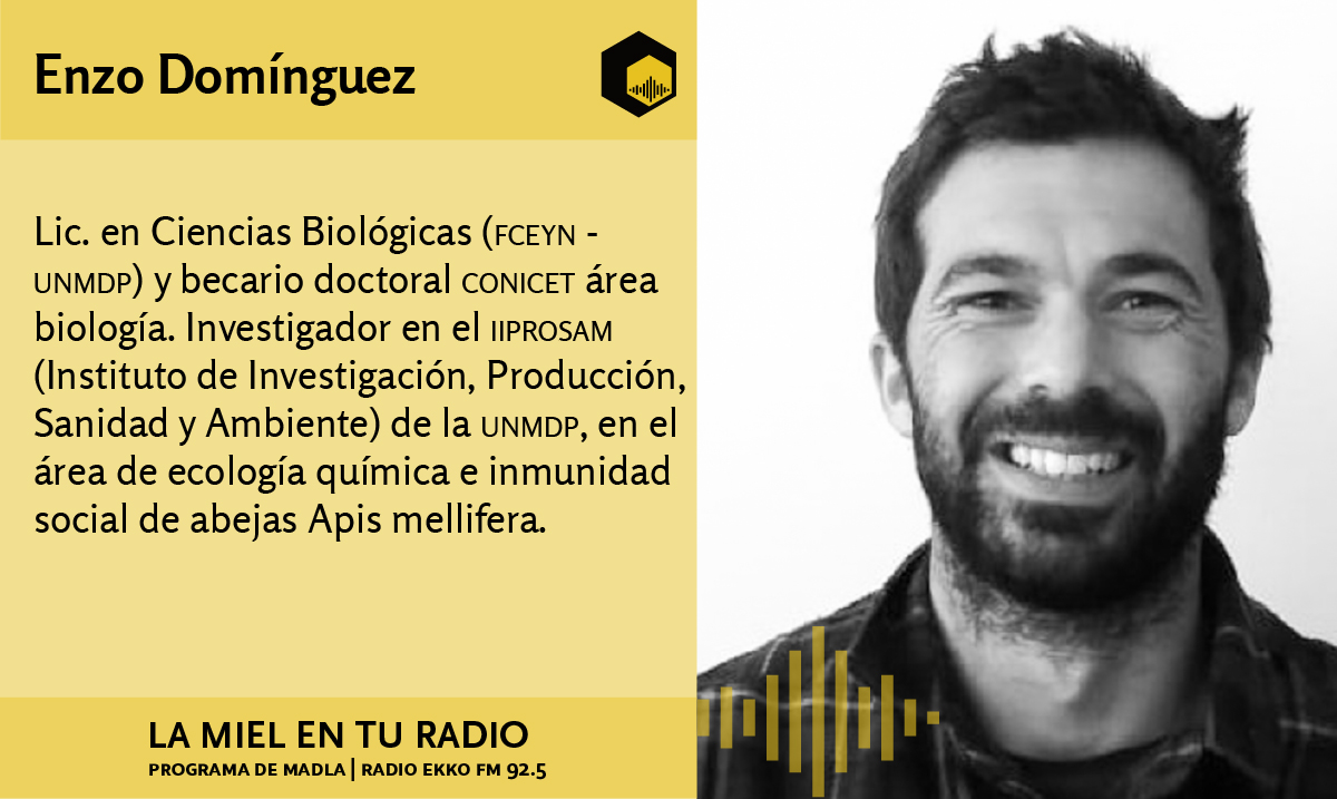 LaMielEnTuRadio's tweet photo. Nuestro primer entrevistado es #EnzoDomínguez, becario doctoral #CONICET e investigador en el #IIPROSAM.
En diferido mediante
https://t.co/9sGeWqzArf
@REDLACaf @INTAInforma @EspacioApicola https://t.co/zjafMgL6H2