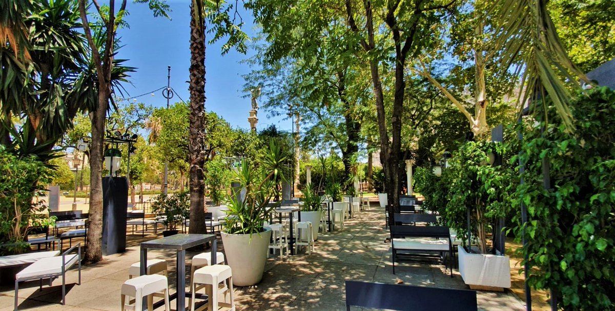 Hoy es un día maravilloso para ir a Terraza ALFONSO