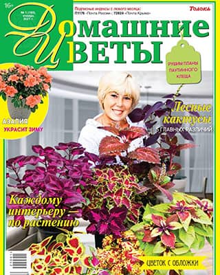 jurnalanet's tweet image. ★ Домашние цветы №1 [2021] ★
• #ДомашниеЦветы, #Садоводство
➣ jurnala.net/domashnie-tsve…