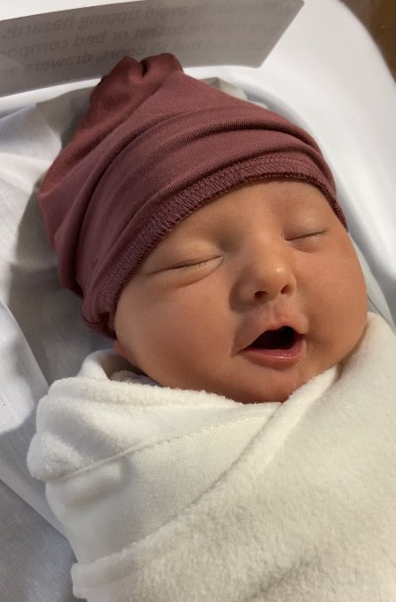 hopea___'s tweet photo. Sweet girl is 3 days old already 🥺 thank you for making me a momma 🤍 https://t.co/o2BlBcVhDV