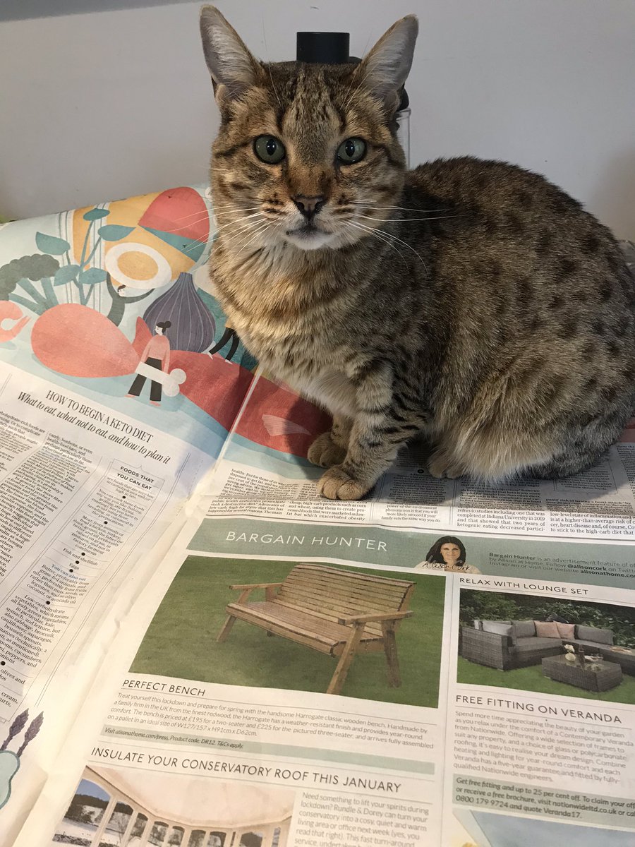 LamornaElmer's tweet image. .@garytaubes is interviewed by @tomough in today’s @Telegraph alongside an extract from The Case for Keto: The Truth About Low-Carb, High-Fat Eating (Mimi was pleased to discover she already follows a Keto diet). 🥑🥬🥓