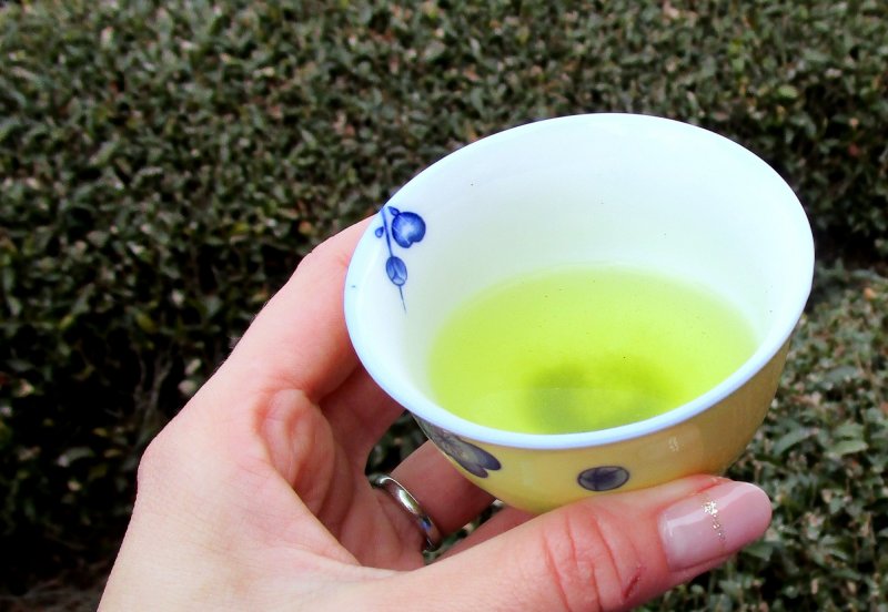 JapanTravel's tweet photo. For this weekend’s #47prefectureproject we'll be looking at #Shizuoka Prefecture, a region of Japan that is synonymous with tea. In fact, they produce around 40% of the country's tea overall, so you can see this is a big part of life here. 🍵
Learn more: https://t.co/2pzMKvaiTN https://t.co/QXBAGCTHWN