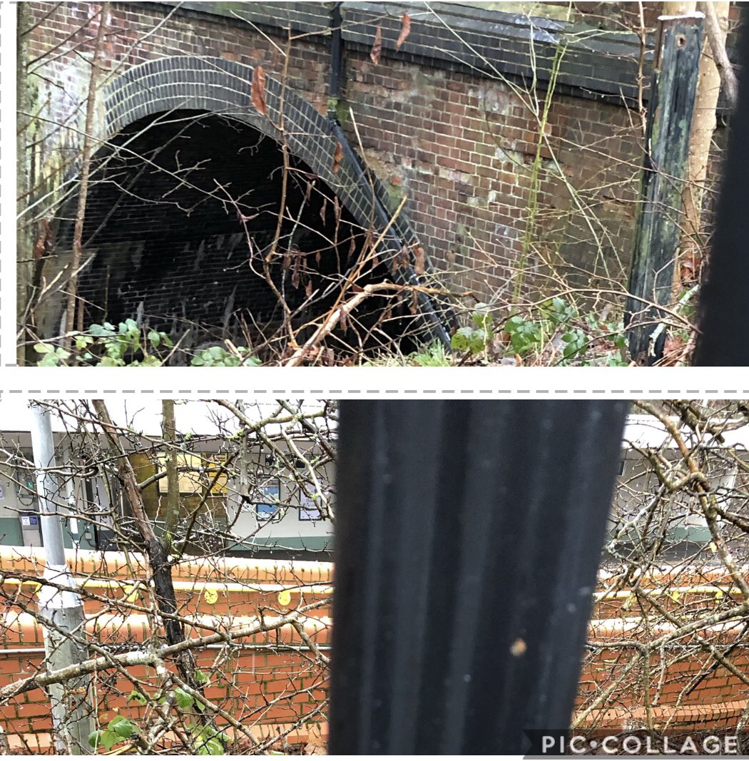 TadworthVillage's tweet photo. Att @LandSheriffs @networkrail @SouthernRailUK

@TadworthWalton @bartlettcooke @T66018937R @JSHKT20 

Can you help @CleanUpTadworth as this is an EYESORE

Its inaccessible #litter behind #tadworthStatiom #railings #fence at #stationapproach #highstreet in #Tadworth

@LDPromos https://t.co/Sli1G7vseM