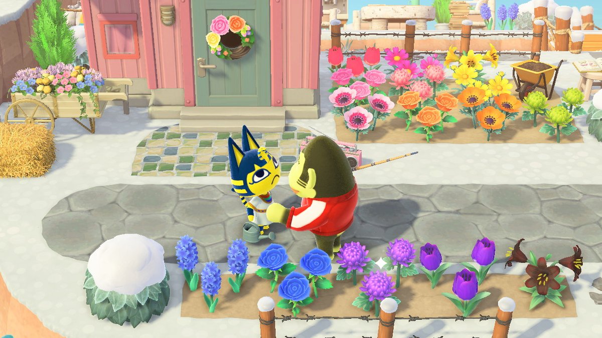 13tay22's tweet photo. #どうぶつの森 #AnimalCrossing #ACNH #NintendoSwitch https://t.co/GLjbeyXbzF
