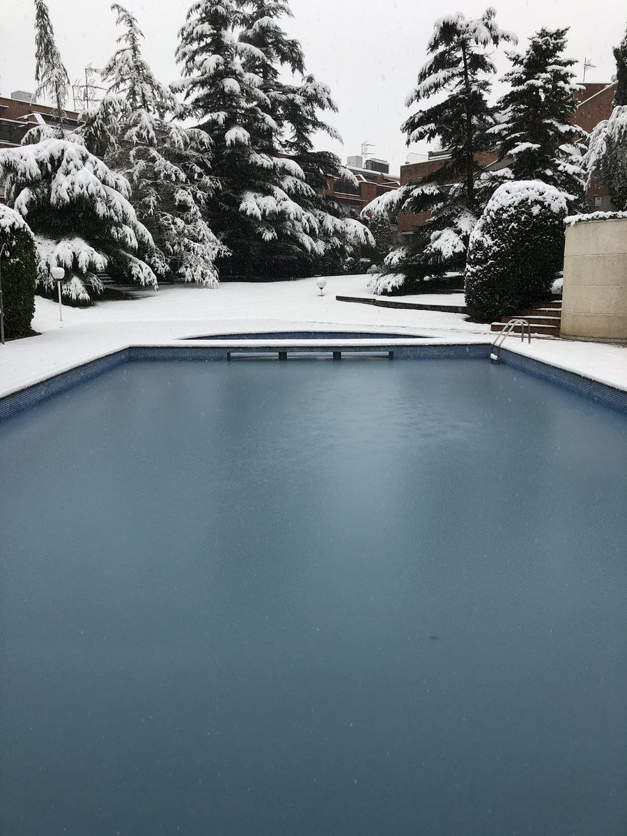 alfapla1's tweet photo. Una setmana abans. Una setmana després.
One week before. One week later.
#fred #cold #glaced #winter #hivern #lleida #filomena #nevada #neu #snow #nevadaalleida #neualleida #nevada2021 #arbres #trees #jardí #garden #paisatge #landscape #natura #nature https://t.co/IxXq3uT6vQ
