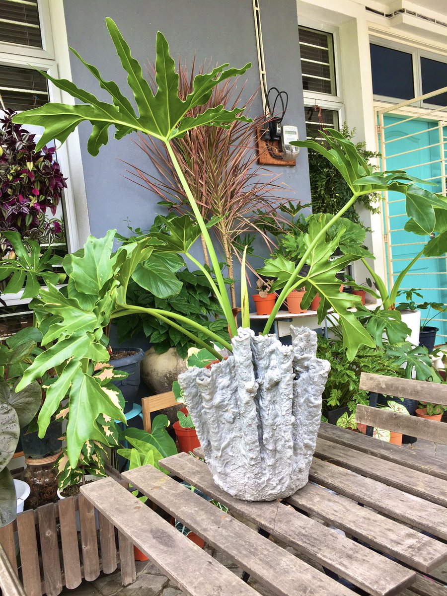 ArifRafhanDraw's tweet photo. Tangan seni mak.
My mom made this #diy pasu using cement and a face towel. She’s 69 and study pondok in Ipoh. What’s my excuse for not being creative? 
*pressure 😅
#creativemom #tanganseni https://t.co/3k5igJDqma