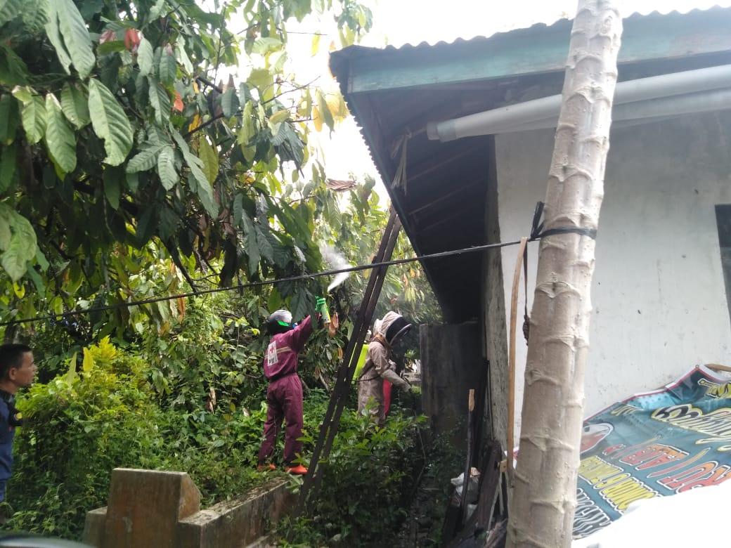 AgamPmi's tweet photo. Giat PMI Kab. Agam Sabtu 16 Januari 2020.
PMI kabupaten Agam membantu Tim Rescue Damkar dalam evakuasi Sarang Tawon yang berada di salah satu rumah warga yang meresahkan masyarakat Pasar Maninjau, Nagari Maninjau, Kec. Tanjung Raya.
#PMISelaluBantu 
#RESCUE https://t.co/8ZR0SqcCVn