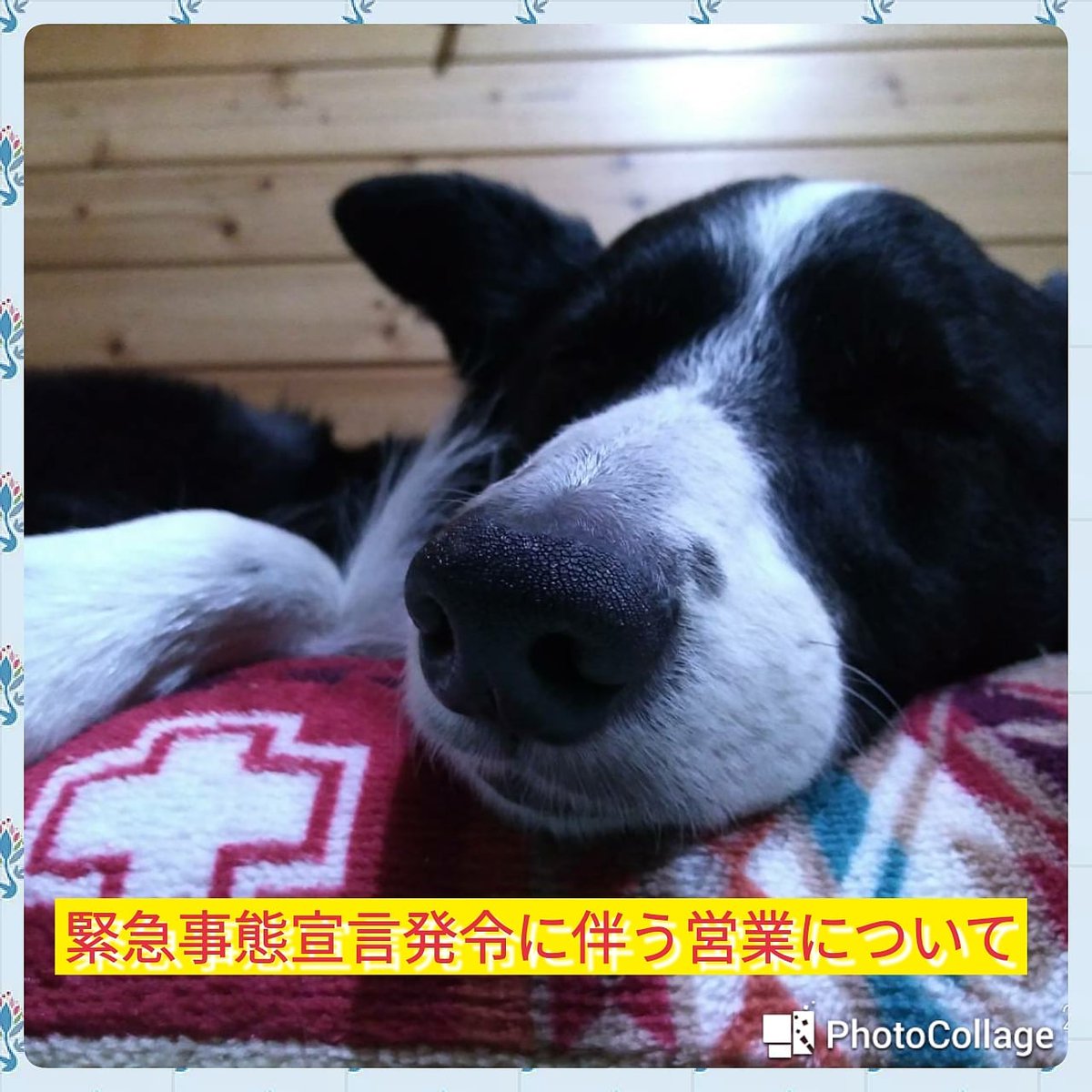 栃木県緊急事態宣言発令を受けまして、緊急事態宣言が解除される迄の当面の間、引き続き感染拡大防止対策を徹底しつつ下記の方針でご予約を承っております🐶
💠一日一組様(施設貸切)でのご案内。
💠同グループの場合のみ二室ご予約可。
何卒ご理解、ご協力のほどよろしくお願い致します🙇🙇 https://t.co/LlaYWoYKGt