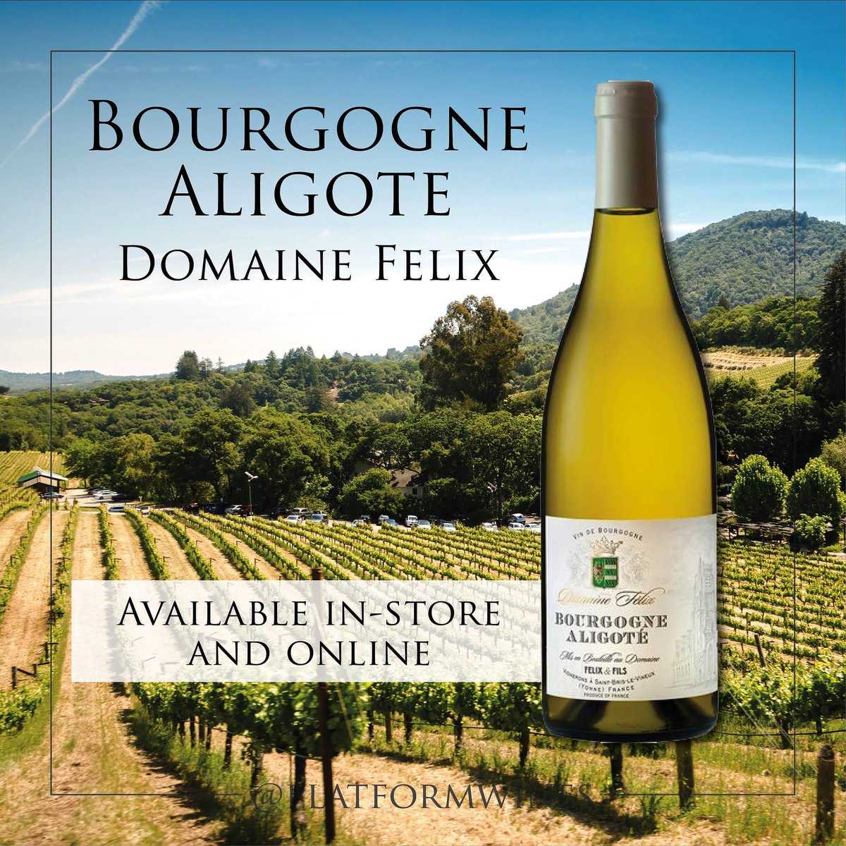 Platform wines tweet media