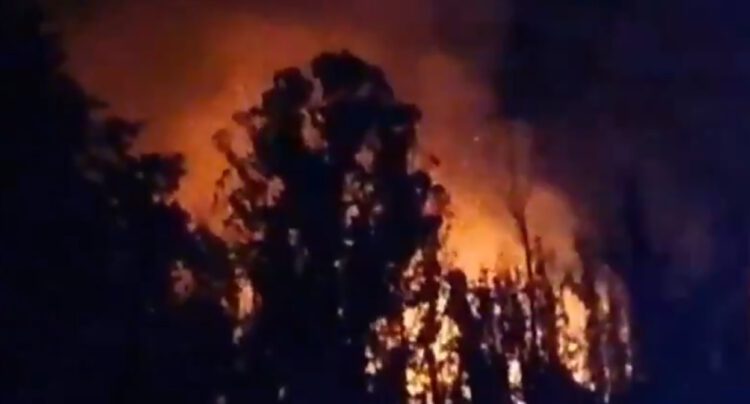Con el inicio a finales de diciembre del verano austral, comienza también en Chile la temporada de incendios forestales, que cada año destruyen decenas de miles de hectáreas, una gran parte de ellos ocasionados por descuido o intencionalmente.