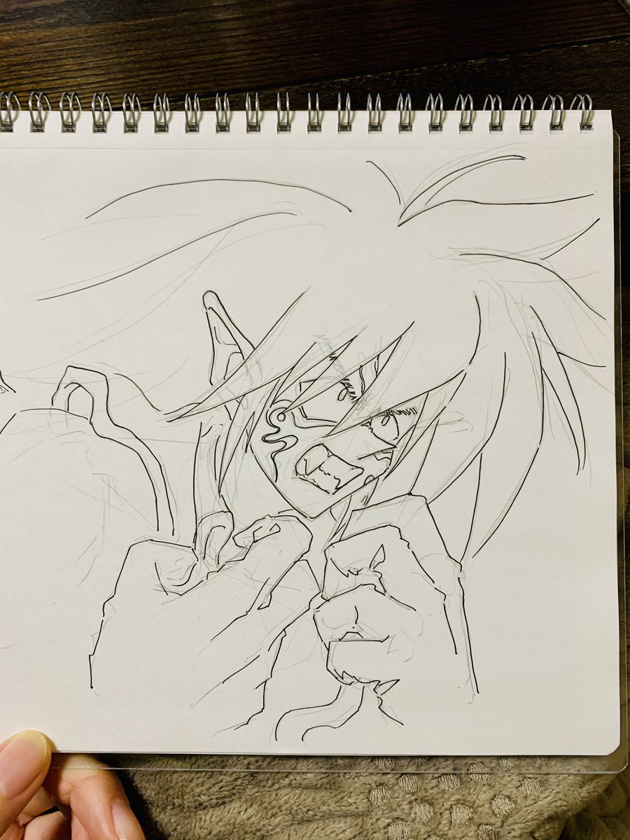今日中には描けるはず…あっ色塗れんのやった…うぅ…っ…どうすれば…シャーペンガサガサか…
(王ちゃんの皿洗いはどうなったん) 