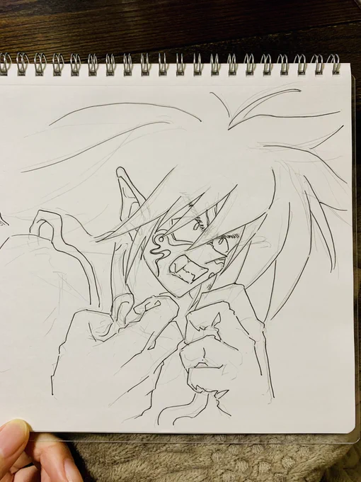 今日中には描けるはず…あっ色塗れんのやった…うぅ…っ…どうすれば…シャーペンガサガサか…
(王ちゃんの皿洗いはどうなったん) 