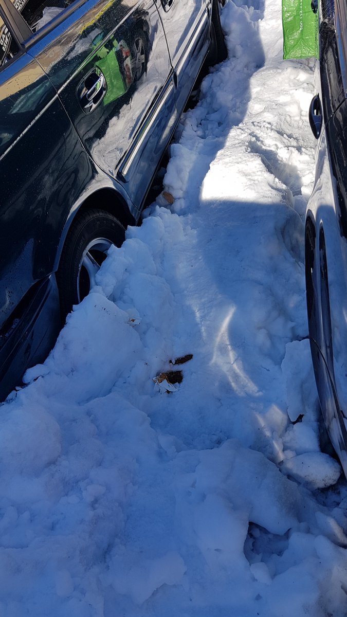 ozzycorrinco's tweet photo. Hoy han empezado a quitar nieve en C/ Pañeria 28037 una subcontrata del 
@MADRID o @Lineamadrid 
 y uno de ellos, que he visto por la ventana, se ha cagado al lado de mi coche, ha dejado el regalo con papel y todo. Que asco y que vergüenza. https://t.co/VfqKQA2MzV