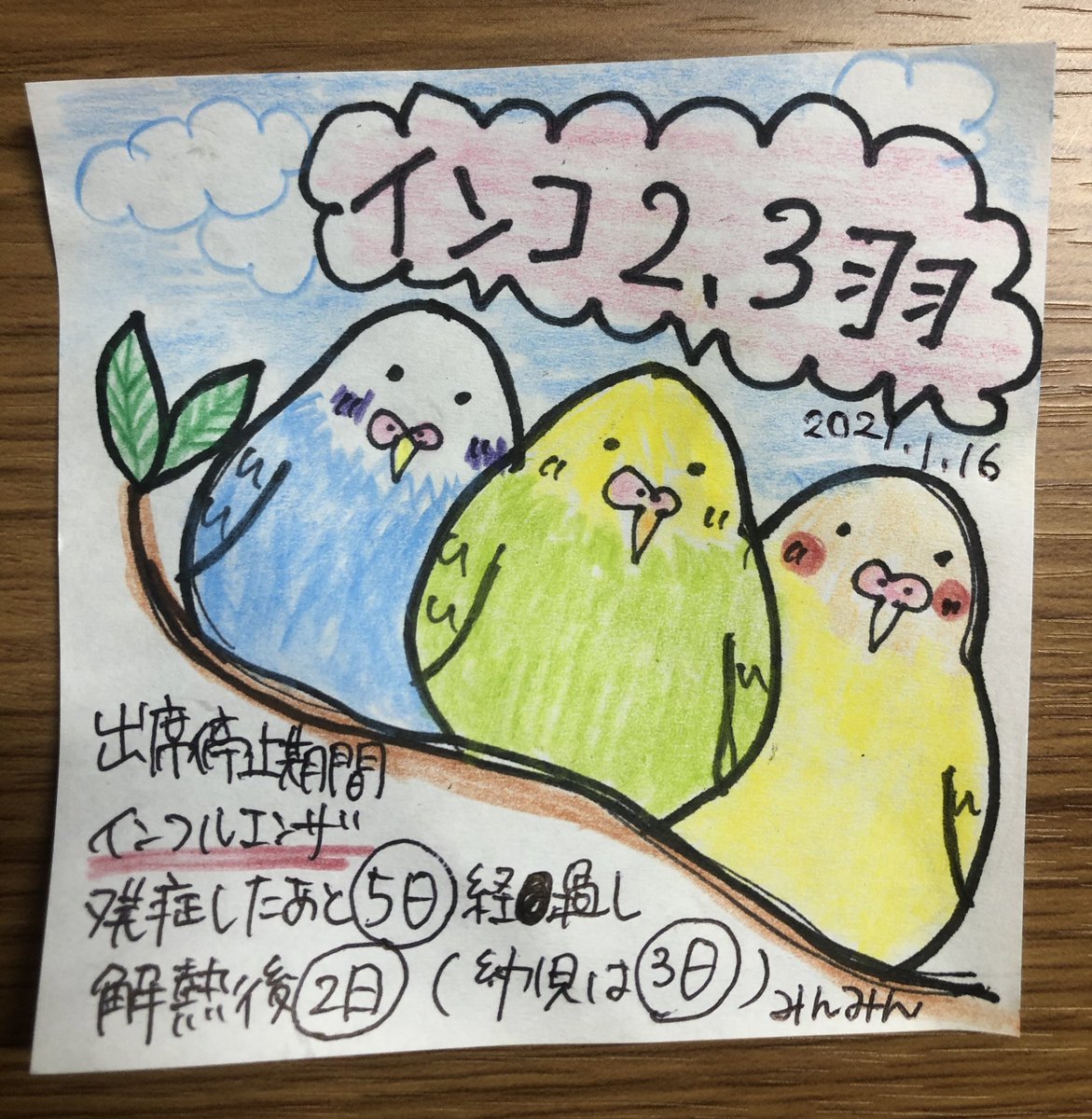 min_hoikushi's tweet image. 【出席停止期間〜インフル】
発症した後5日経過し、解熱後2日(幼児は3日)を経過するまで。

インコ🦜2,3羽✨✨

#保育士試験
#子どもの保健