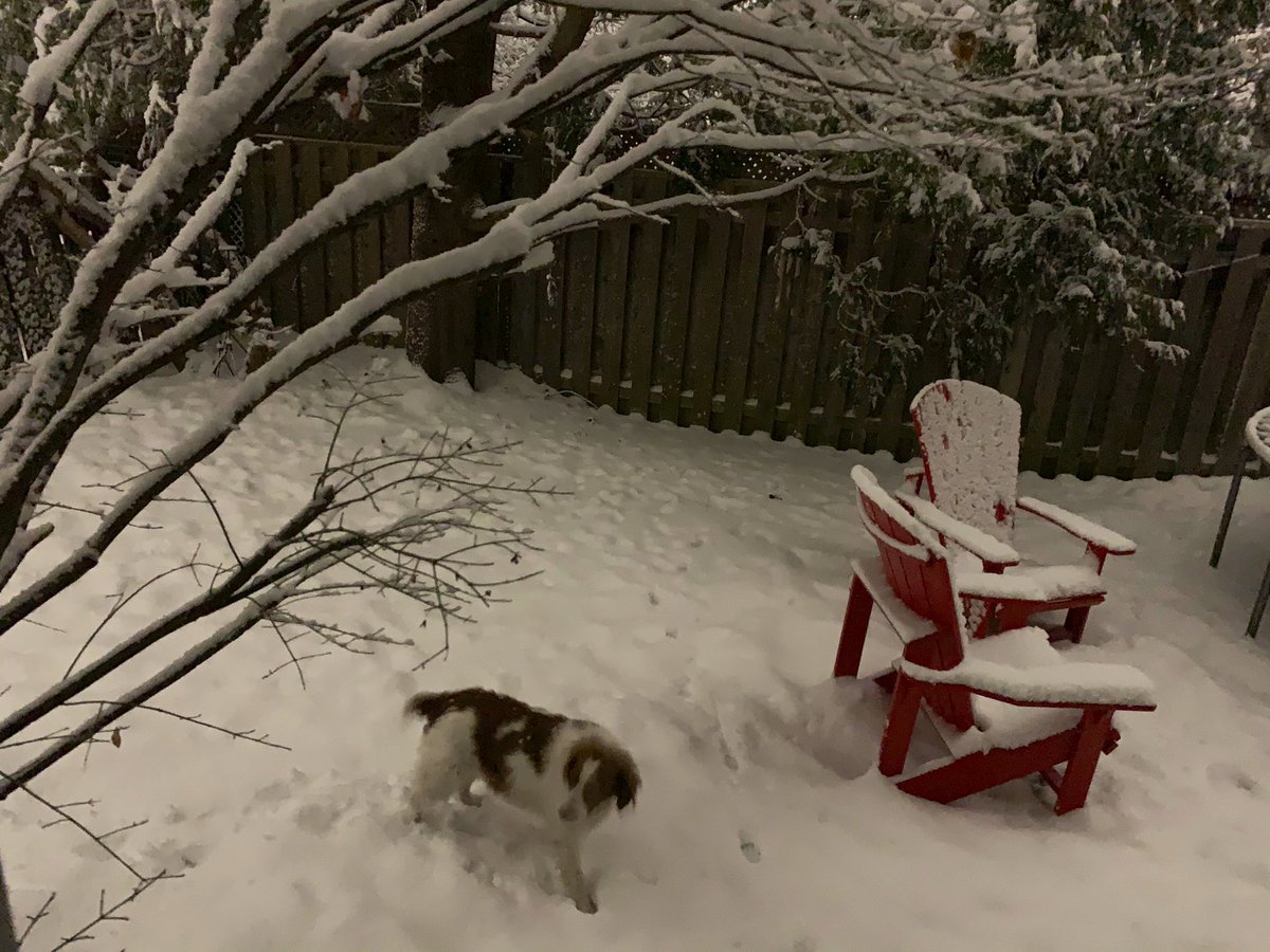 Someone is really excited about all the snow! #WeAreWinter