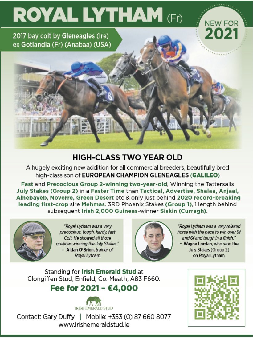 IrishEmeraldStd's tweet photo. Lovely ad in today’s @TheIrishField for exciting new sire Royal Lytham @PowellLeo @McArdleBrendan @AisCrowe @IREthoroughbred @ITBA_Official @HRIRacing #hotnewsire #group2winner #group1placed #pedigree #precocity #value #attractiveterms #getin☎️ https://t.co/WCL57Zk1Da
