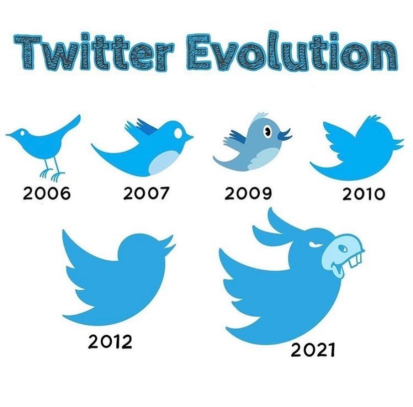 toohiptom's tweet image. #TwitterEvolution #Twitter @jack