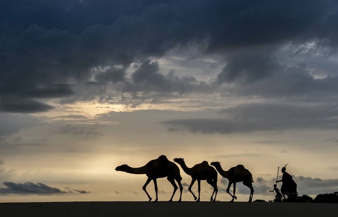 Kenya Pics tweet media