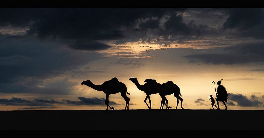 Kenya Pics tweet media