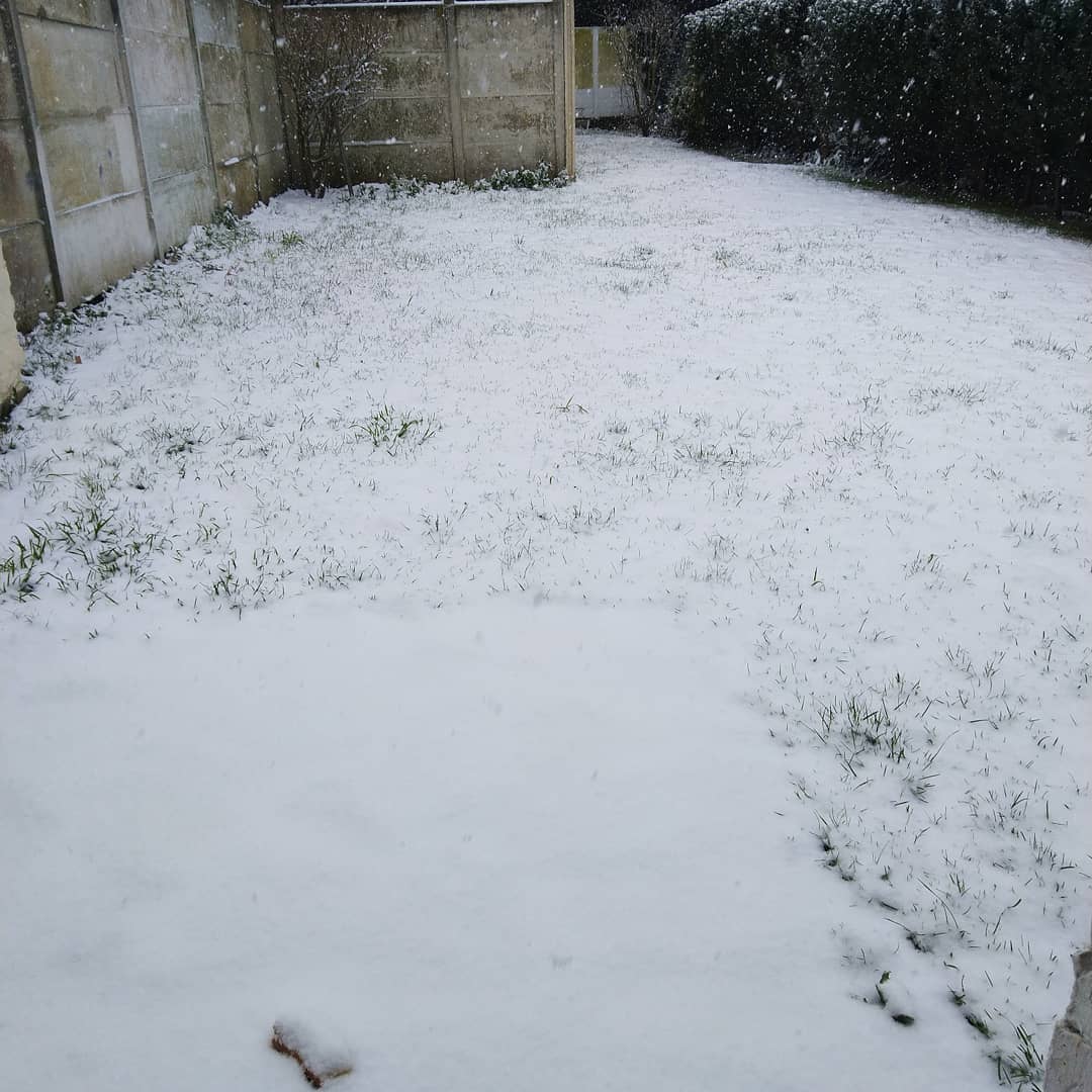 groupygroupy's tweet photo. Enfin de la neige 💪
#neige #video #youtube #youtubevideo #magnifique #cool #fun #teamgroupy #streaming #stream #gaming #likeforlikes #follover #manchot #abonnetoi https://t.co/va2cZIaqKT