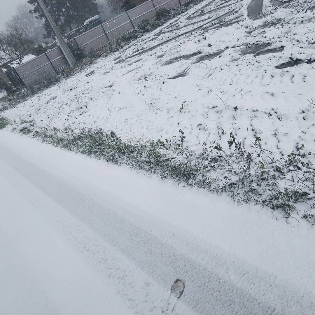 groupygroupy's tweet photo. Enfin de la neige 💪
#neige #video #youtube #youtubevideo #magnifique #cool #fun #teamgroupy #streaming #stream #gaming #likeforlikes #follover #manchot #abonnetoi https://t.co/va2cZIaqKT
