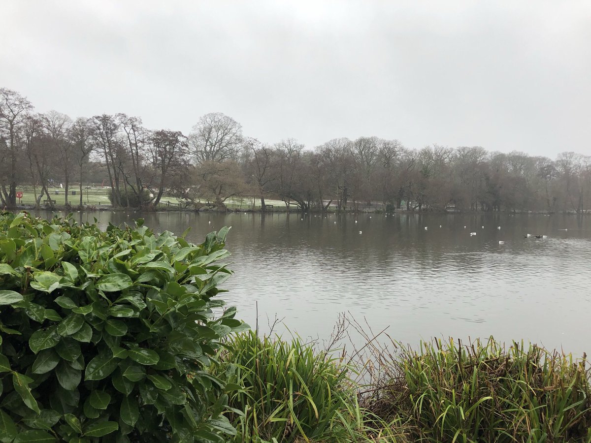 JonesAnnwen's tweet photo. Really glad - now at least! - I talked myself back in to taking a walk this morning. Cold, very wet, but lovely all the same #Grovelands https://t.co/CkaZTfAh9c