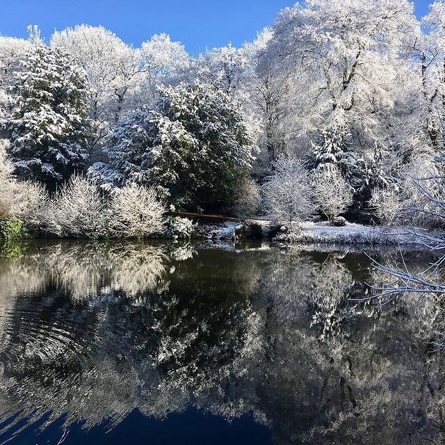 KeeleUniversity's tweet photo. There is nothing like Keele in the snow 💙❄️ 

📸 @KeeleSU #KeeleSnow https://t.co/ipRQyWPIGN