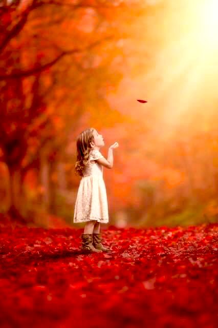 Le bonheur, c’est des parcelles de rêves, saupoudré d’étincelles d’espoir et une pincée de magie. Alors rêve grand , fais un plan précis , ferme les yeux et envoie le librement dans l’univers  #2021bonheur