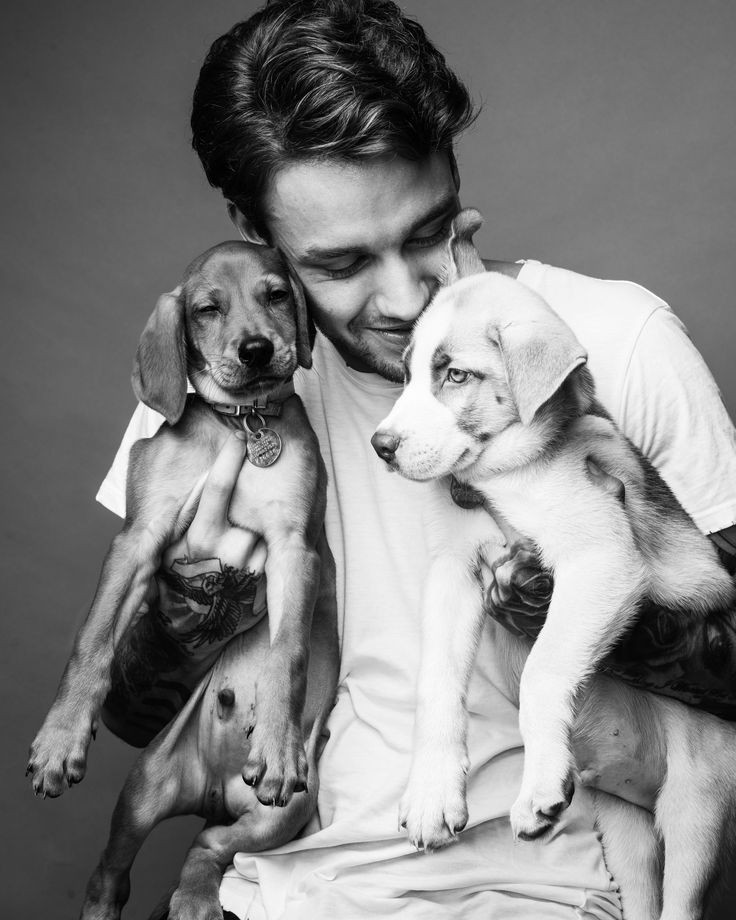 ~ Liam Payne and Zayn Malik as each other ~- A THREAD -