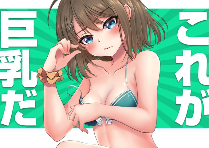 #これが巨乳だ
私にはこれが精いっぱい 