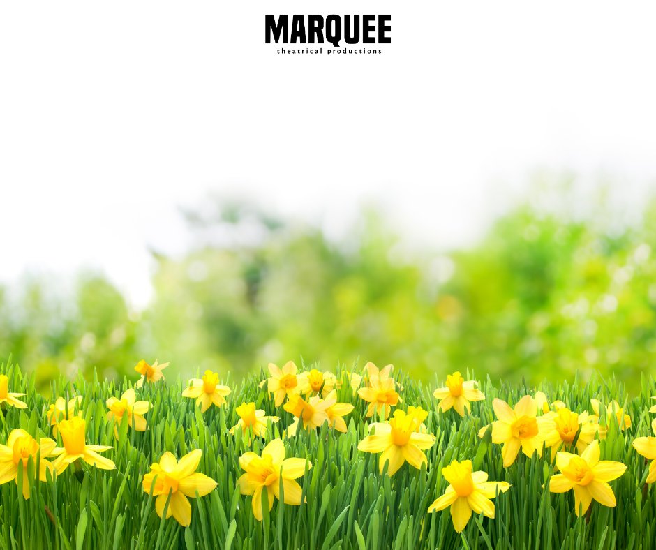 MarqueeTP's tweet image. It might be the middle of January but just think - we’re only a few months away from some beautiful spring blooms!

#springtime #blooms #beautifulspring #springblooms #springbloom #springstyle #think