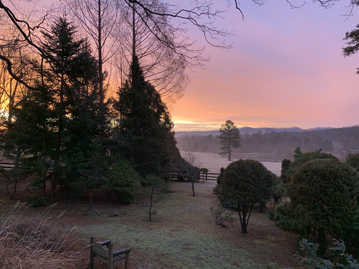 Dom Starsia tweet media