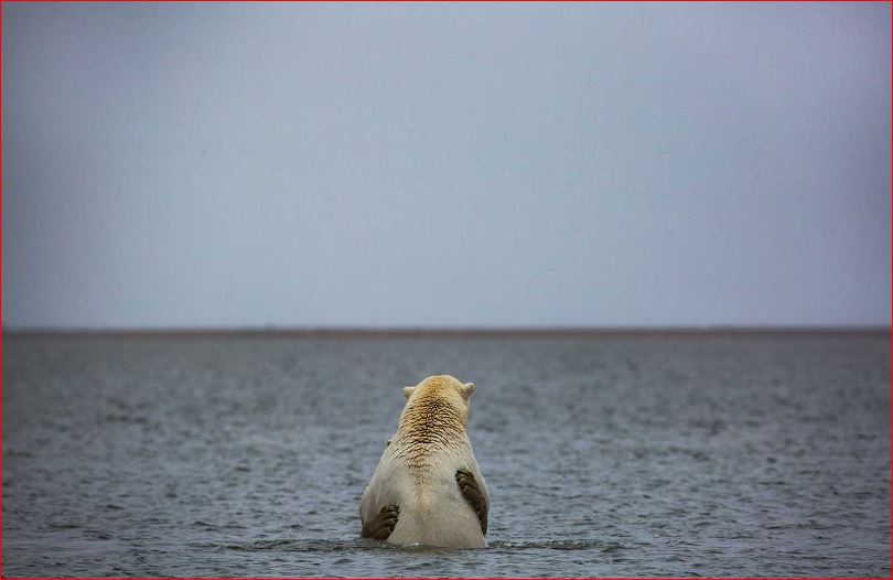 How Climate Change is Upending Life Around the World

Through intimate photographs and dramatic drone footage, Josh Haner explores the pressing reality of climate change, bringing to light the life-changing effects of climate change in communities around the globe.
#Tiredearth