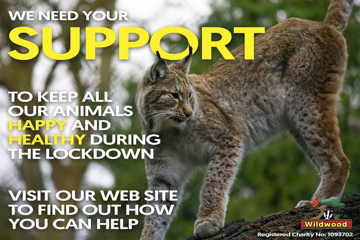 WildwoodDevon's tweet photo. We're really blown away by the support we get during lockdown. Thank you! ๐
There are many ways to help - visit the web site to find out more.
#lockdown #lockdown3 #lockdown2021 #devonlockdown #lockdowndevon https://t.co/oDVOas69u2