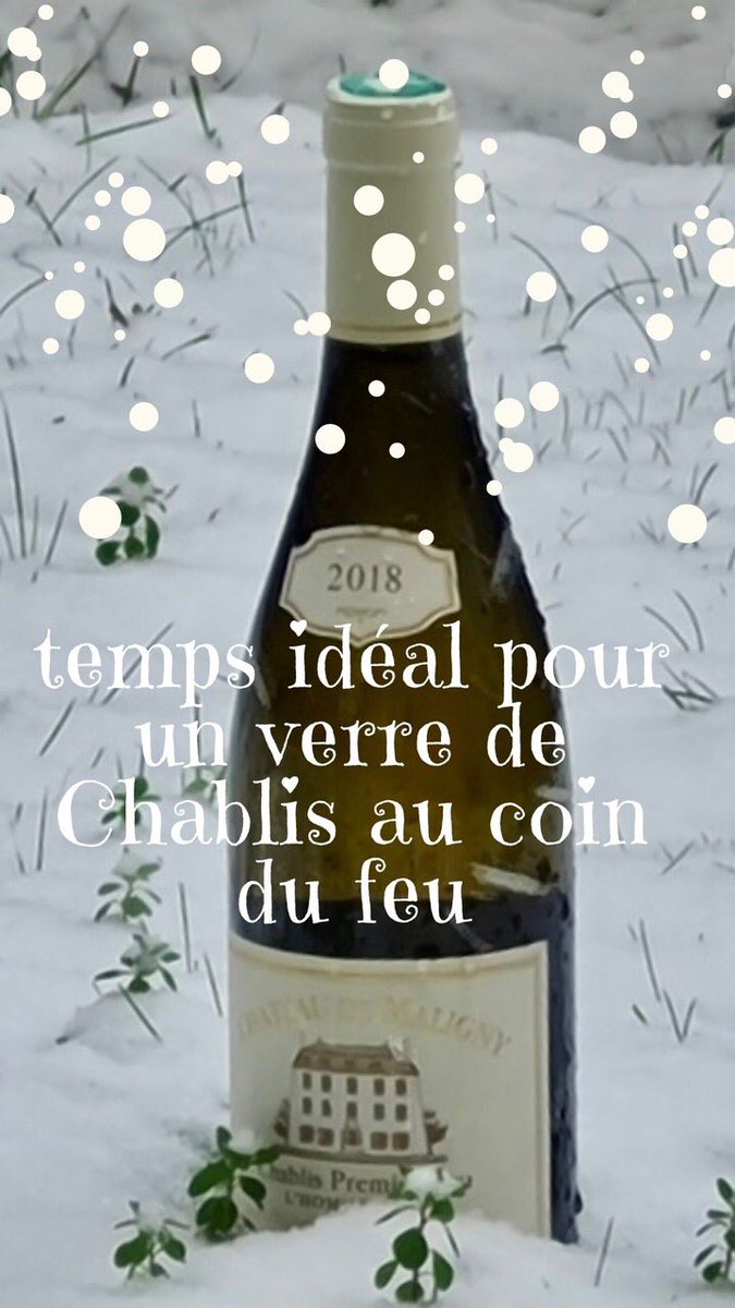 v_durup's tweet photo. Chablis Premier Cru « l’Homme Mort »...de froid.  #premiercru #HommeMort #froid #neige #hiver #feudebois #durup #jeandurup #bourgogne #vinsdebourgogne #burgundywine #chablis #chateaudemaligny #chateaudemalignywine #wine #sommelier #chabliswine #dégustation #chablisjeandurup https://t.co/71vhFWRBJC