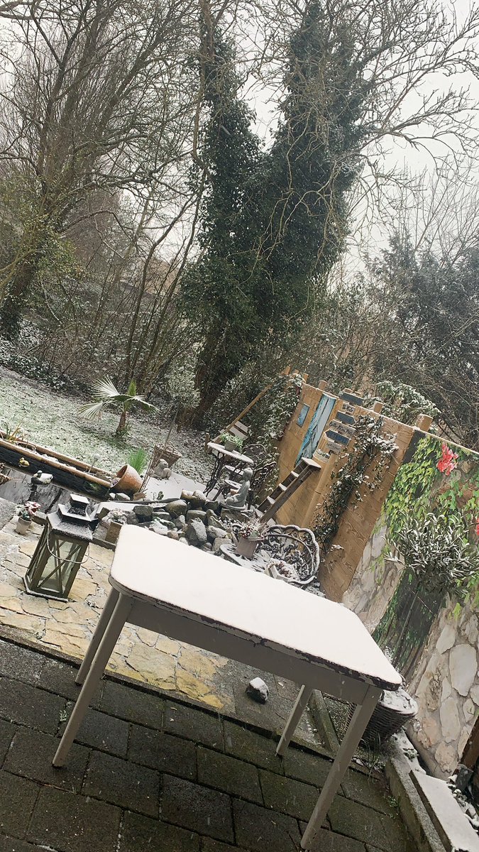 eefdbx's tweet image. I like itttt 🥰 #sneeuw