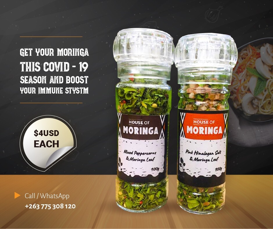Get your Moringa this Covid-19 Season and Boost your Immune System.
#moringa #moringapowder #moringabenefits #houseofmoringa #houseofmoringastore #moringaoleifera #superfood #keto #moringatea #natural #vegan #organiccovid-19 #wellbeing #fitnessmotivation #weightloss https://t.co/phTielJKix