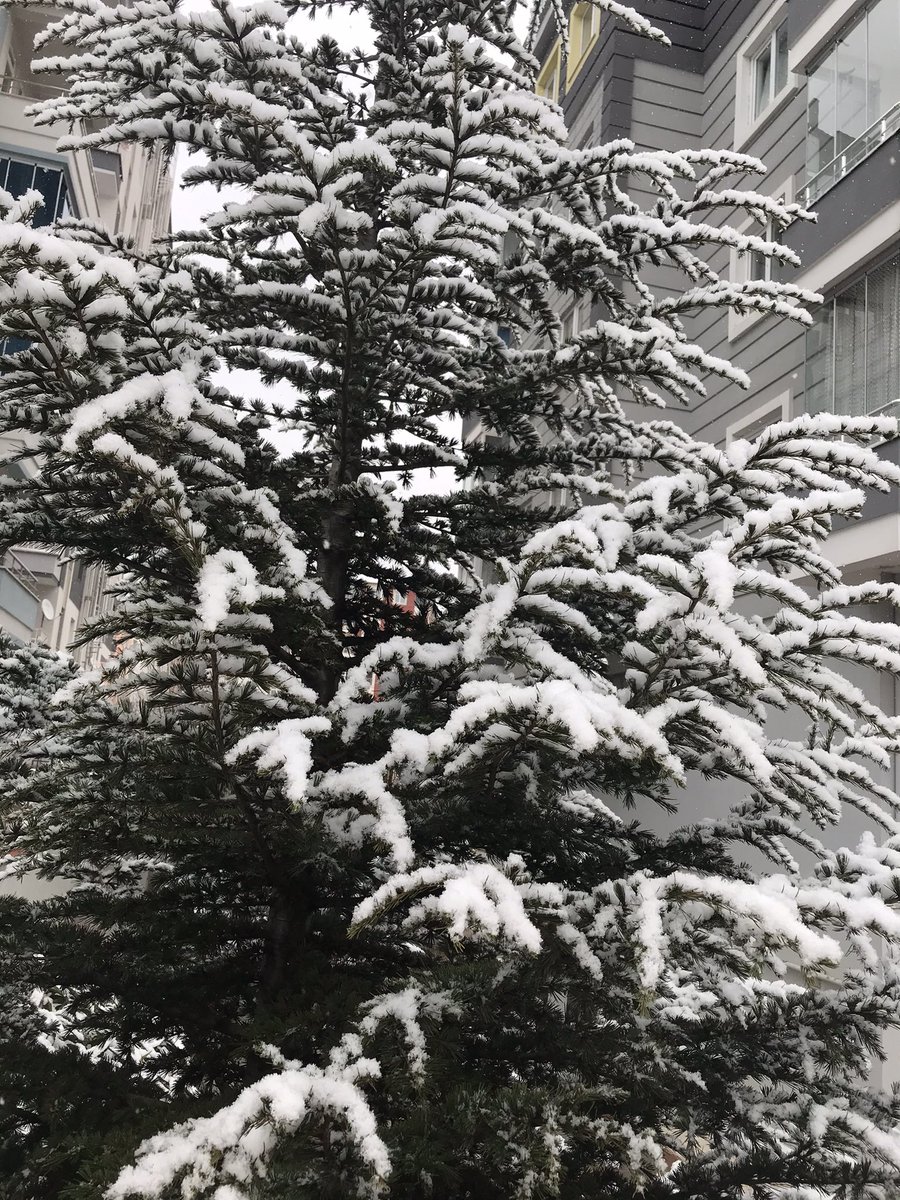 #cumartesi #karyağıyor 

Kar,üşeyen bir halk için asla romantik yağmaz.