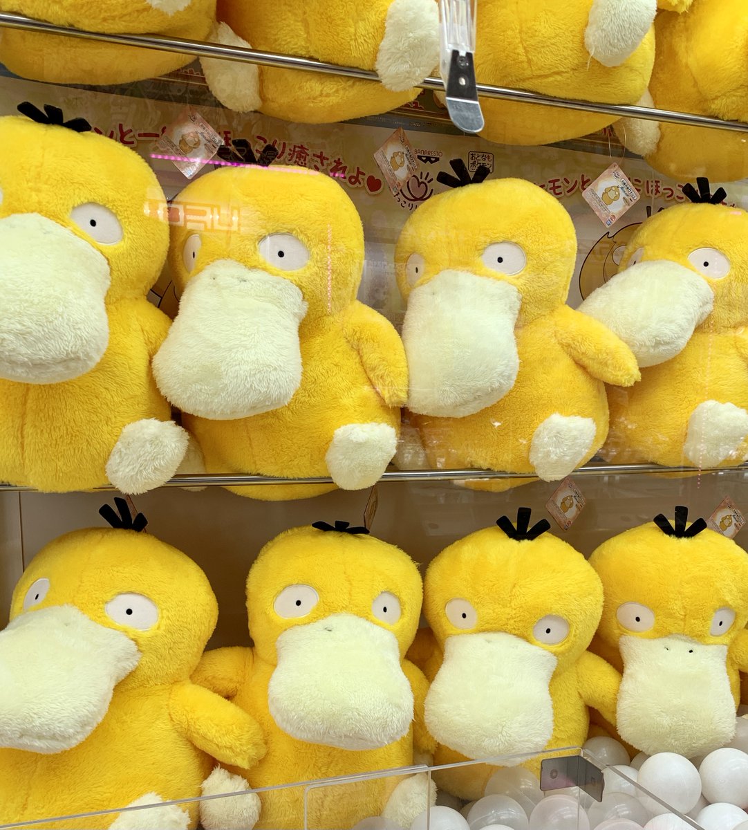 ポケモンセンターnakayama Pa Twitter いやされコダック くつろぎポッチャマ