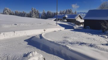 Er2uaaWXUAUgoyC?format=jpg&name=360x360