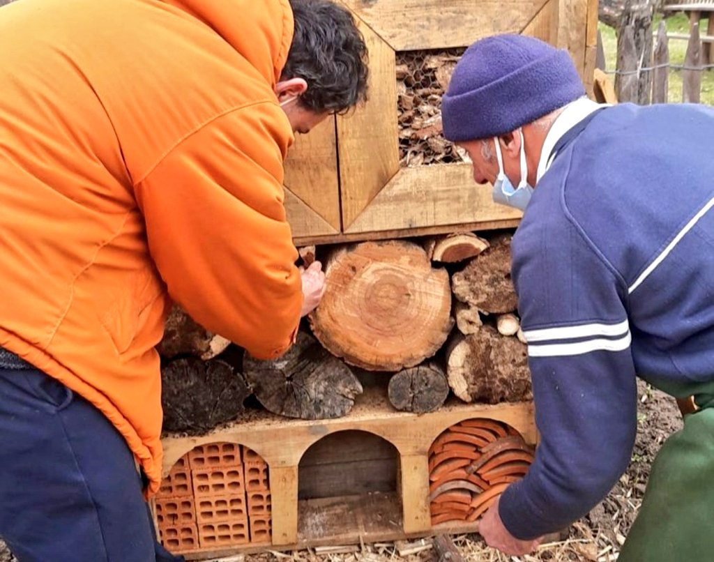 ceschina__'s tweet photo. The Bugs' hotel in #OrtiGenerali urban allotments is finally ready to host many wild #pollinators! 🐝🐞🦋🏰

#bugshotel #allotments #pollinators #urbanpollinators #winter #greencity #Turin  #urbanallotments https://t.co/Yusyopi77t