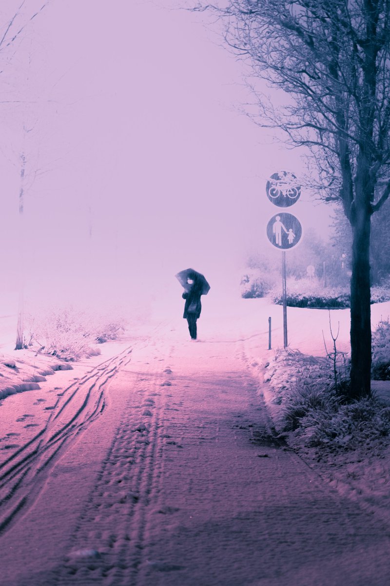 Yanis27s's tweet photo. Quelques photos sous la neige https://t.co/WbNC3Eio4F
