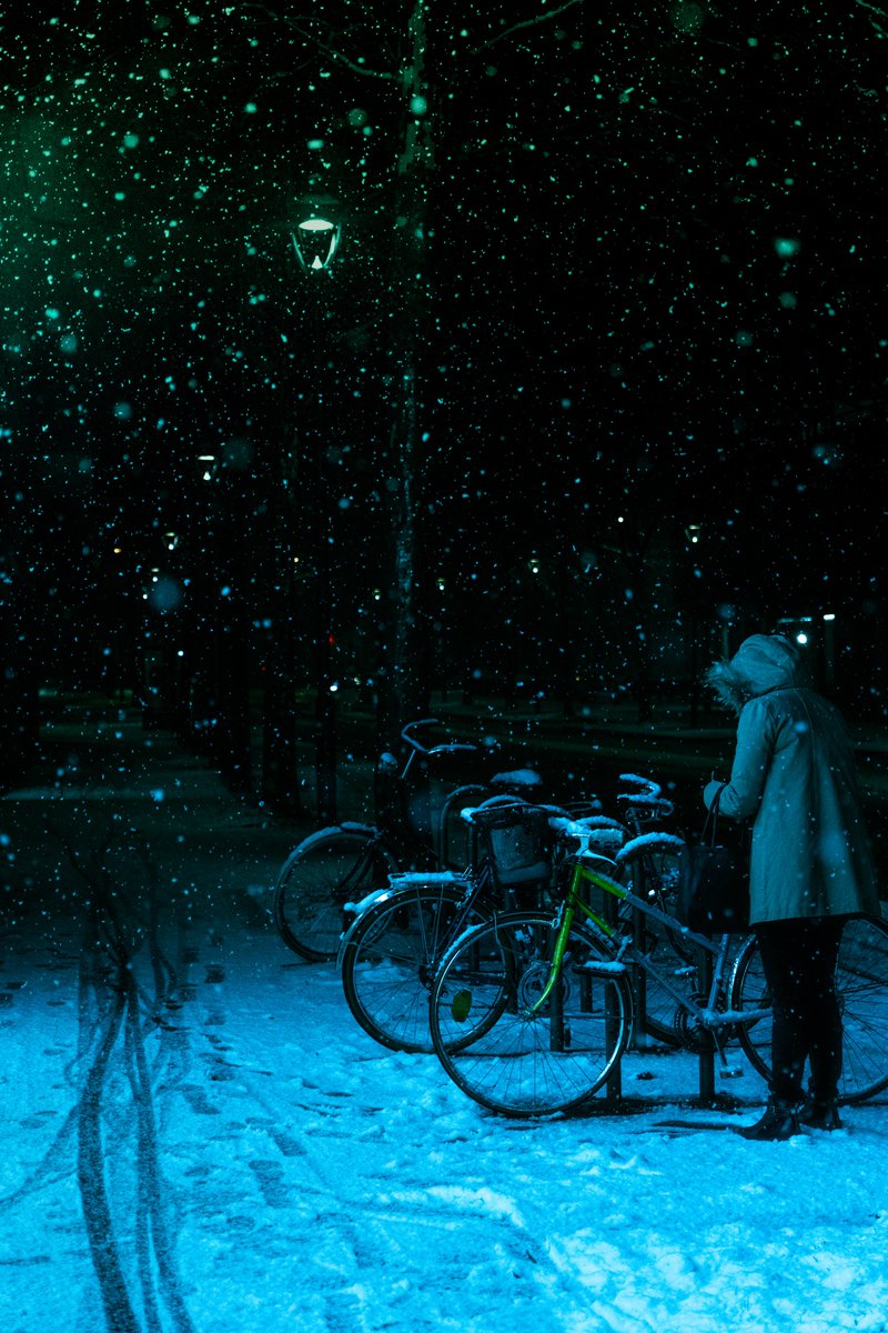 Yanis27s's tweet photo. Quelques photos sous la neige https://t.co/WbNC3Eio4F