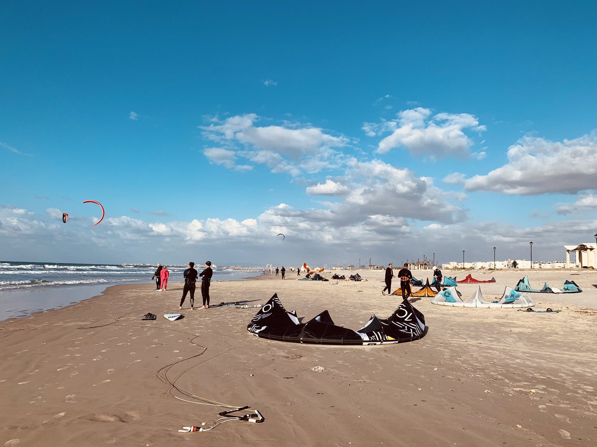 Zeev tweet media