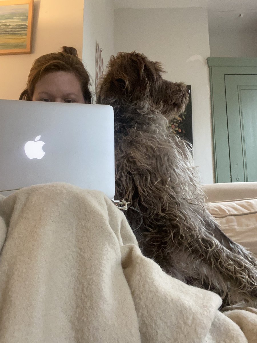 ruttysark's tweet photo. The realties of working from home!
For quite a while I have spent one day a week working at @GreatDixter helping with digital design &amp; marketing. This was my last week working there, as I move to focus solely on my gardening business... https://t.co/4WJNlZ6nNz